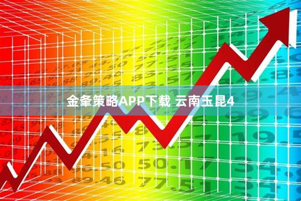 金夆策略APP下载 云南玉昆4