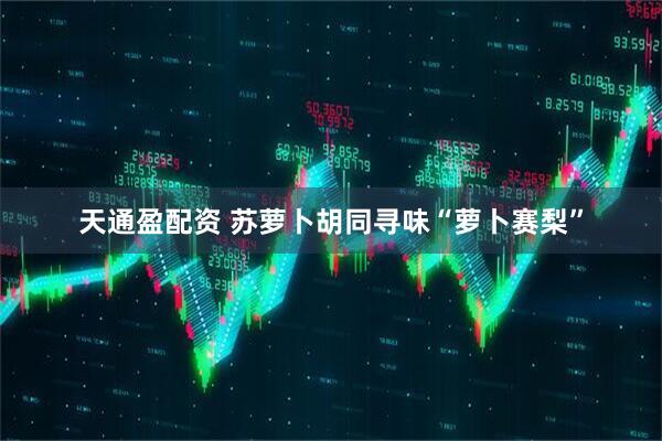 天通盈配资 苏萝卜胡同寻味“萝卜赛梨”